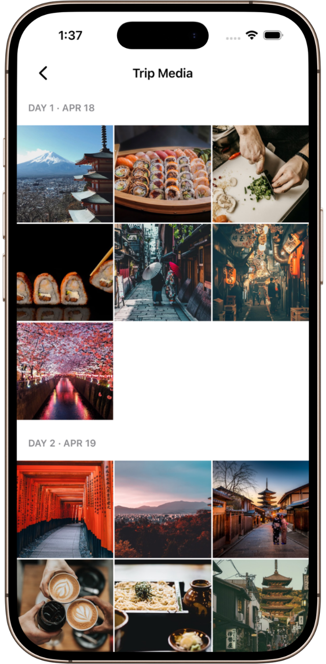 Trip media gallery grouped by day